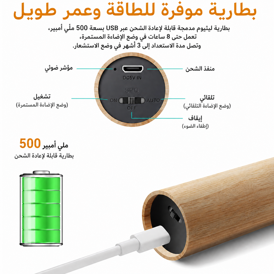 Smart Motion Sensor Light