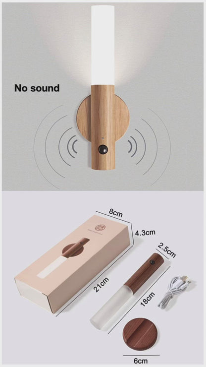 Smart Motion Sensor Light